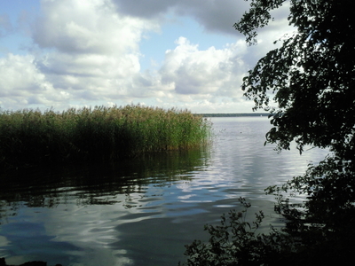 Auch Müggelsee