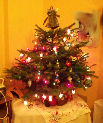 Mein Weihnachtsbaum 2010