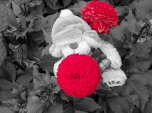 Teddy Bär im Blumen-Busch