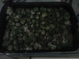 Rosenkohl-Auflauf mit Hackfleisch