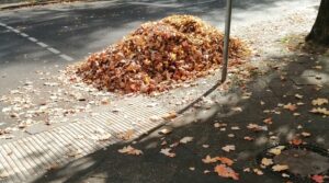 Laubhaufen auf der Straße mit vielen herbstlichen Blättern auf dem Weg.